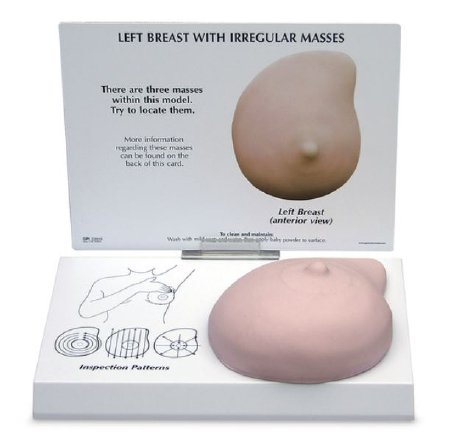 Galloway Plastics - Breast Model Female Full-Size Left Breast 2-1/4 lbs. - SB52334