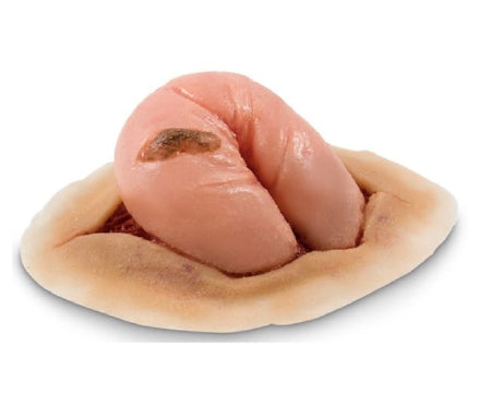 Nasco MST Perforated Bowel Model Rubber - SB50202