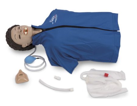 Life/form Basic CPARLENE Torso with HeartiSense Light - CPR Manikin Gender Neutral 42 lbs. - LF03998