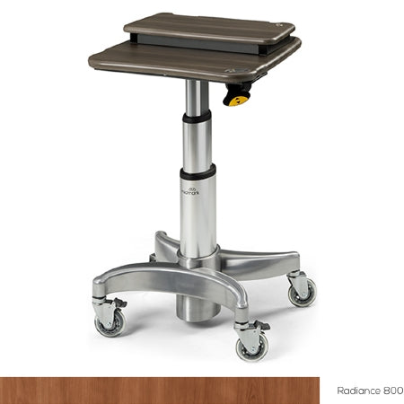 Midmark - Workstation Secure Laptop Workstation with Mouse Tray Without Drawers Without Shelves - 6217-001-800