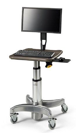 Midmark WORKSTATION, PC FLAT PANEL 6218 EARTH - 6218-001-487