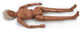 Nasco Life/Form Advanced GERi Auscultation Manikin Interchangeable Geriatric Full Body 28 lbs. - LF04119