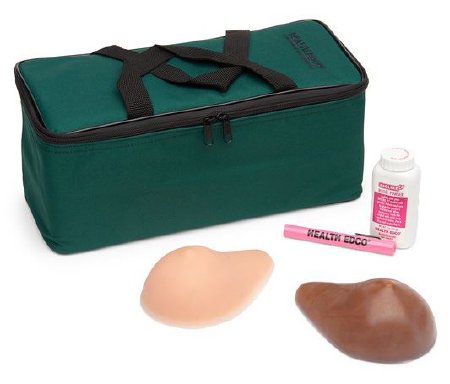 Standard BSE TrueForm Models - Breast Self-Examination Model Beige Skin Tone Female Adult - SB52464