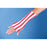 Surgi-Color Guard - Elastic Net Retainer Dressing Tubular Elastic 7 Inch X 25 Yard Size 2 Red / White Medium Finger / Toe / X-Small Arm / Hand / Small Hand / X-Small Leg / Foot NonSterile - MTSCGR02