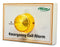 Emergency Call Alarm Light 