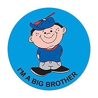 Precision Dynamics Pdc 250 Per Unit I'M A Big Brother Sticker - 59707288