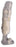Wheaton Brace Company Leg Brace, Tibial Fracture Themoplastic Ped 10" - TFB100