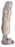 Wheaton Brace Company Leg Brace, Tibial Fracture Themoplastic Ped 11 1/2" - TFB115