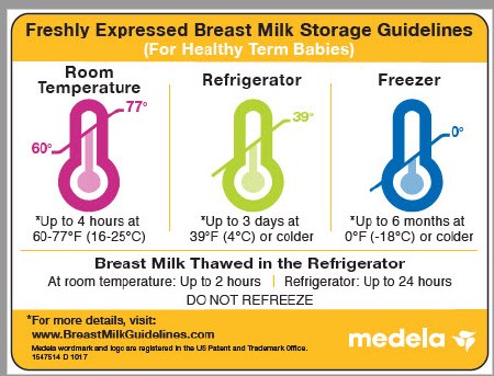 Medela - Breast Milk Storage Guidelines Magnet - 101029440