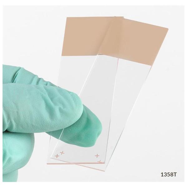 Globe Scientific Diamond Frosted Microscope Slide 3X1" Tan W/ +Chrg/90D Grounded Edg 72X20/Ca - 1358T
