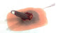 Xtreme - Moulage Impaled Stick Plastic - 800-005