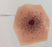Simulaids Xtreme Intermediate Moulage Shotgun Entry Plastic - 800-009