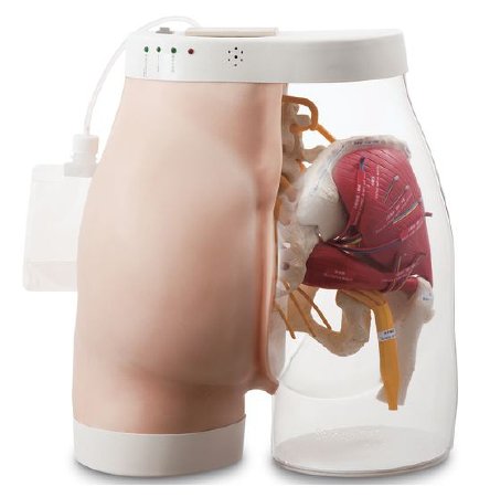 Nasco Healthcare - Intramuscular Injection Simulator Buttocks Type 2 Gender Neutral Adult 22 lbs. - SB52393