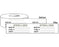 Shamrock Scientific LABEL, INFO INDICATOR STEAM AUTOCLAVE WHT 3/4"X2160" - SIL-340-1