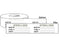 Shamrock Scientific - Pre-Printed Label Advisory Label White Tape Sterilized Batch Con# Date Black Quality Control Label 3/4 X 2160 Inch - SIL-340-1