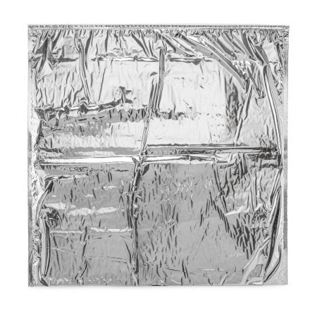 Kold-To-Go - Mailing Pouch 21 X 21 Inch For Food Distribution, Drugs, Insulin, Vaccines, Specimens - Coldkeepers - KG-2121-PL00UZ-251H