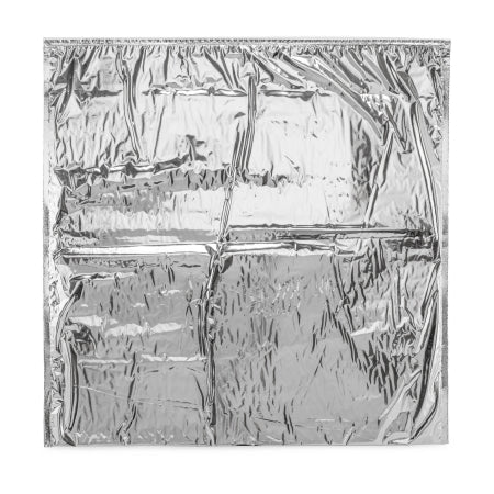 Kold-To-Go - Mailing Pouch 21 X 21 Inch For Food Distribution, Drugs, Insulin, Vaccines, Specimens - KG-2121-PL00UZ-251H