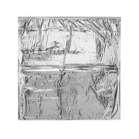Kold-To-Go - Mailing Pouch 19 X 19 Inch For Temperature Control of Food Distribution, Drugs, Insulin, Vaccines, Specimens - Coldkeepers - KG-1919-PL00UZ-252H