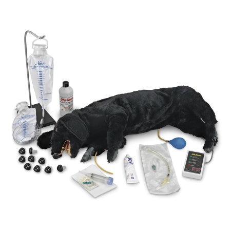 Life/Form - CPR and First Aid Dog Manikin Life/form Advanced Sanitary - LF01155