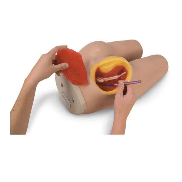 Nasco Company Simulator Intramuscular Injection Life/Form Each - LF00961U