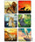 Medibadge Kids Love Stickers 72 Per Unit Lion King Disney Sticker 2.5 Inch - 1746