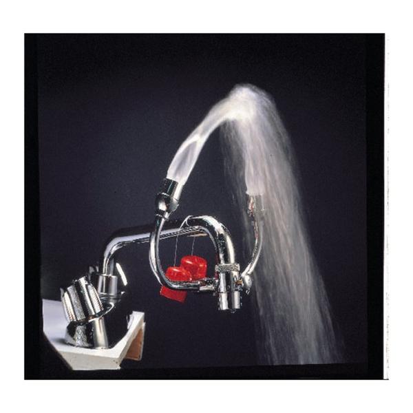 Fisher Scientific Co. Station Eyewash Opti-Klens Ii Ea - 19269422