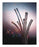 Thermo Scientific Nalge Pvc Tubing Nalgene 180 Clear, 1/4 Inch Diameter (Inner), 50 Foot Length - 8000-0060