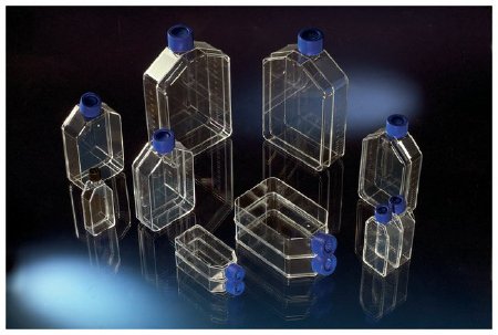 Thermo Scientific Nalge Culture Flask Nunc Nunclon Cell Culture Polystyrene 7 Ml - 163371