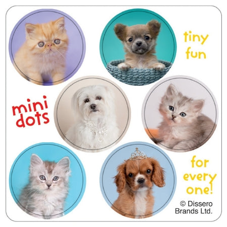 Smilemakers  100 Per Unit Rachael Hale Mini Dot Sticker 2.5 Inch - ST1054R