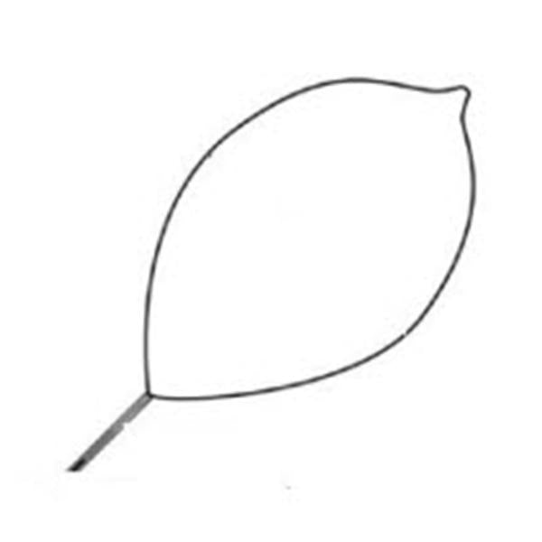 Conmed Corporation Snare Polypectomy Optimizer Firm Loop Wire Oval Large 10/Ca - 472