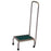 Newmatic Medical - Step Stool with Handrail MRI 1 Step Stainless Steel Frame - 12362