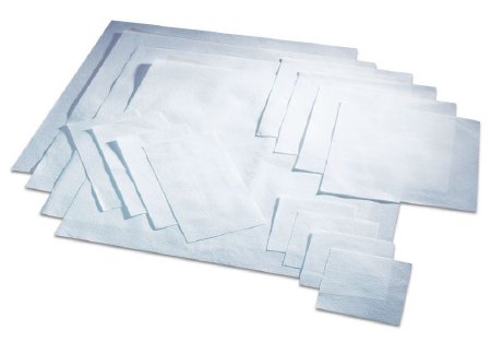 Safetec of America - Zorb Sheet 3 X 6 Inch For use with Diagnostic Specimens, Infectious Substances and Dangerous Goods - 44004