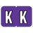 Barkley - Pre-Printed Label Chart Tab Purple Laminated R R White Alpha Series 4 X 1-1/2 Inch - 901-34128