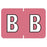Barkley - Pre-Printed Label Chart Tab Brown Laminated B B White Alpha Series 12 X 1-1/2 Inch - 901-34119
