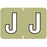 Barkley - Pre-Printed Label Chart Tab Green Laminated J J White Alpha Series 19 X 1-1/2 Inch - 901-34127