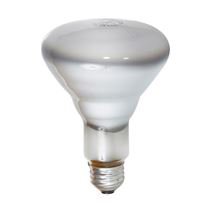 Bulbtronics Bulb Sylvania 120 Volt 65 Watts - 2855