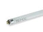 EiKO - Light Bulb Eiko 13 Watts - 0017373