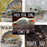 Smilemakers  100 Per Unit Star Wars The Child Sticker 2.5 Inch - ST1780B