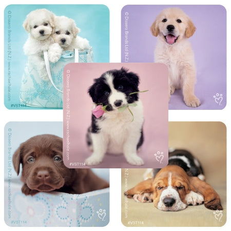 Smilemakers Valuestickers 250 Per Unit Rachael Hale Dogs Sticker 1.625 Inch - VST114P