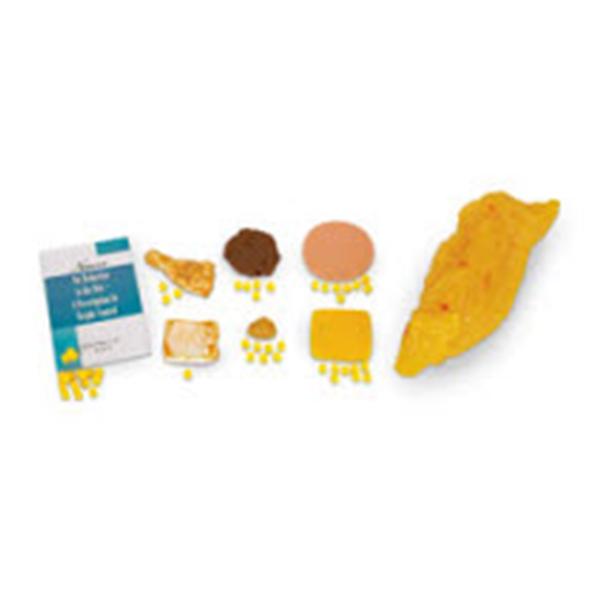 Nasco Company Replica Kit Anatomical/Food Fat Reducer Each - WA04240U
