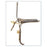 Ellman Intl Mfg Inc Speculum Vaginal Graves Standard/Large Stainless Steel Ea - H58