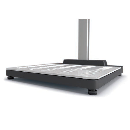 seca 654 - Scale Base w/ ID-Display for Scale-up Line Digital LCD Display 800 lbs. Capacity Chrome AC Power - 6541321009