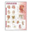 Lippincott Williams @ Wilkins Chart Anatomical Anatomy And Injuries Of The Head And Neck 20X26" Ea - 9780781786713