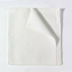 Tidi Products Encore General Purpose Drape Drape Sheet 40 W X 48 L Inch NonSterile - 9810824