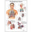 American 3B Chart Anatomical Cholesterol 20X26" Each - SB41463U