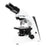 Seiler Instrument & Mfg Microlux Iv Binocular Microscope 2.5X Ea - MLX250