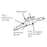 Salter Labs Cannula Nasal Co2/O2 Sample Adult 13' 25/Ca - 4707-13-13-25