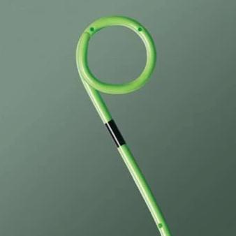 Bard InLay Optima Ureteral Stent with Guidewire Double Pigtail 6 Fr. 2 ...
