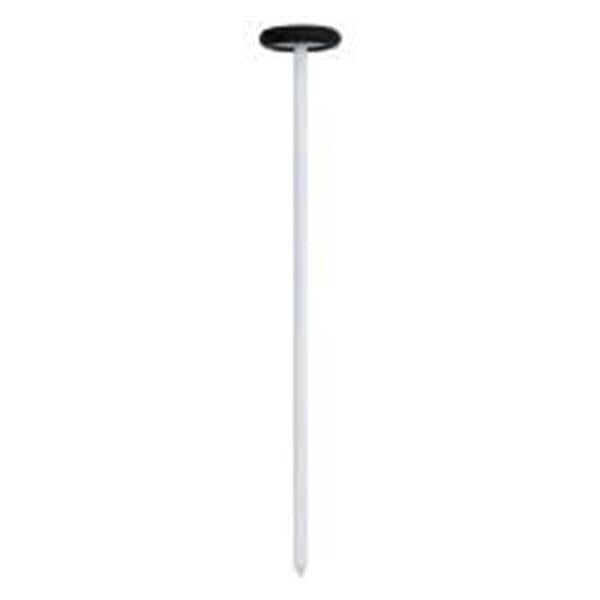 Riester USA Hammer Queens 13-4/5" Black/White Plastic Ea - 5058