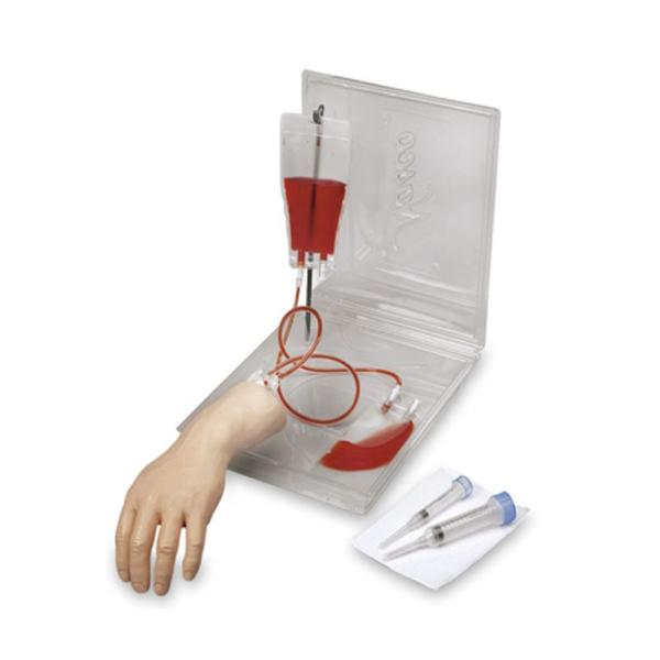 Nasco Company Iv Hand Simulator Training Life/Form Adult Each - LF00700U
